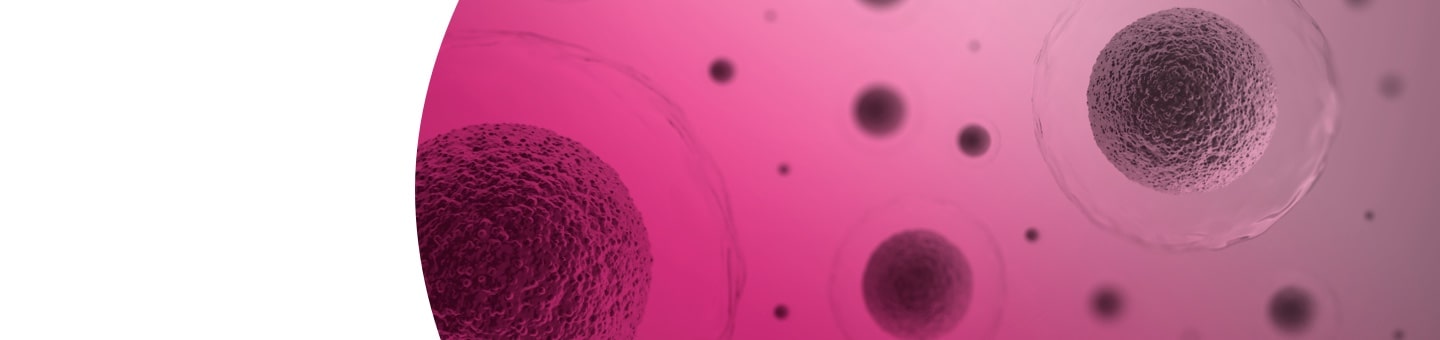 Coltura a blastocisti Spagna