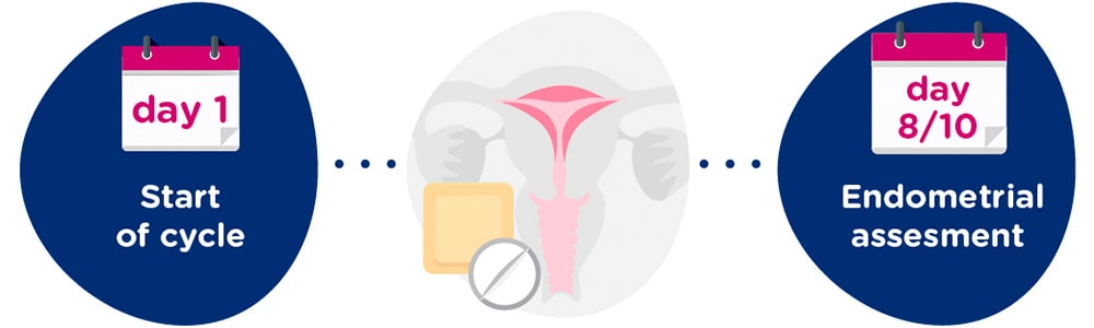Endometrial preparation