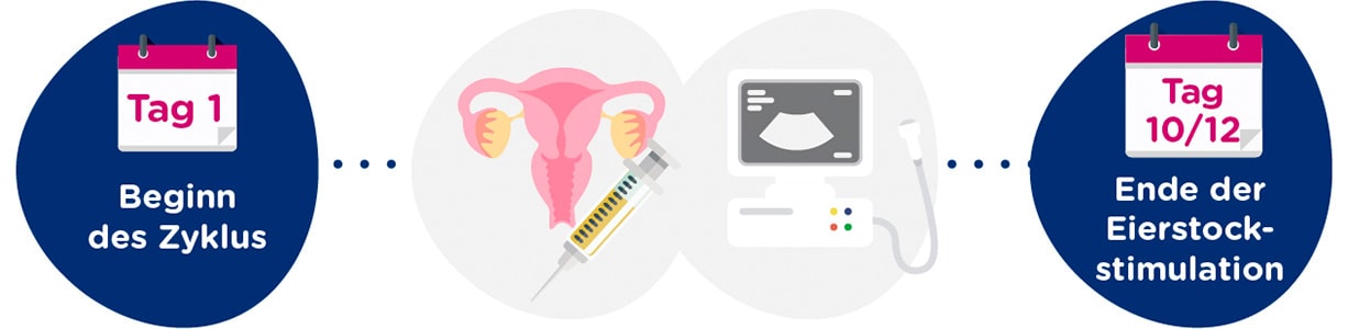 Eierstockstimulation + gynäkologische Untersuchungen