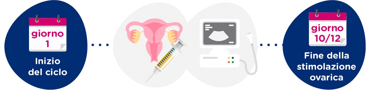 Stimolazione ovarica + controlli ginecologici