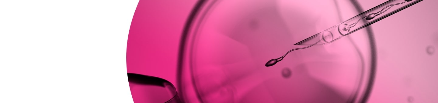 ICSI - IMSI for fertilisation Spain