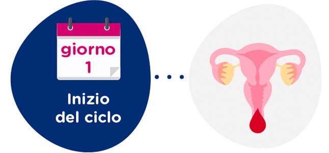 Quali sono le fasi del procedimento? Quali sono le fasi del procedimento?