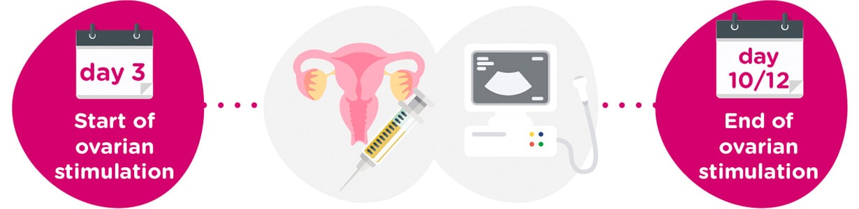 Ovarian stimulation + gynaecological tests
