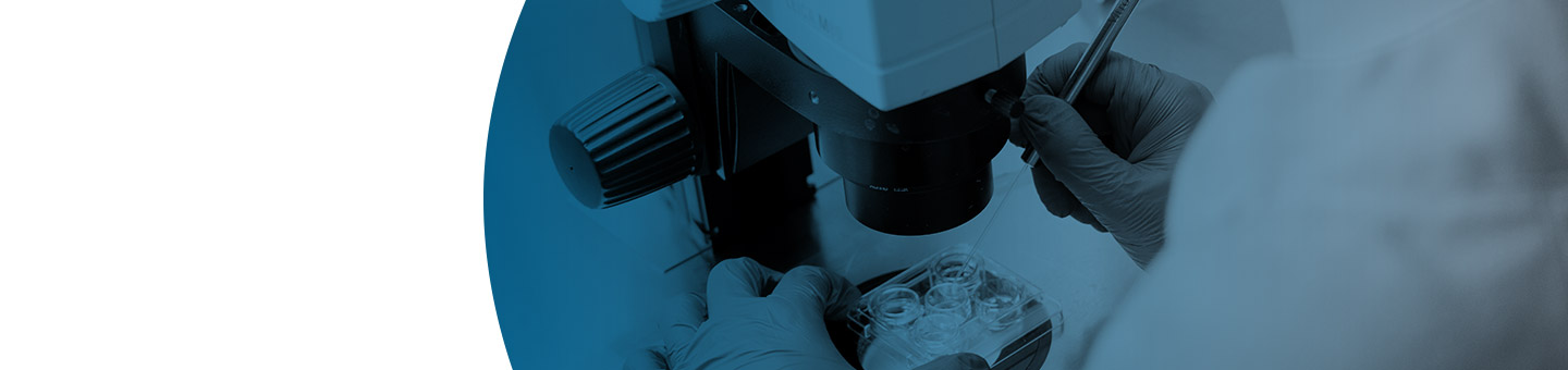 Coneix el nostre laboratori i les últimes tecnologies