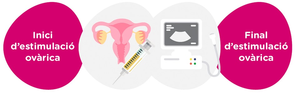 Estimulació ovàrica + controls ginecològics