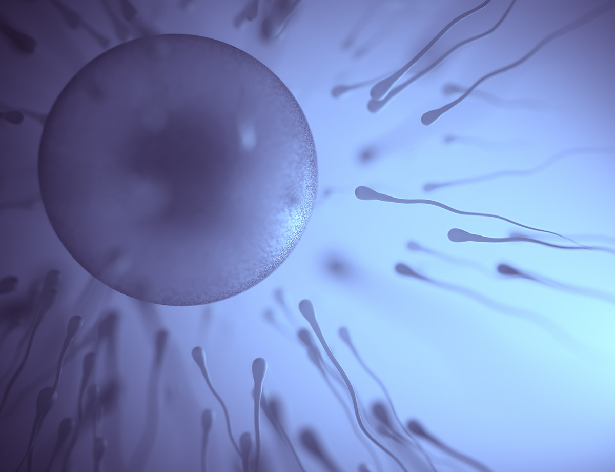 Qu’est-ce que la méthode ROPA ?