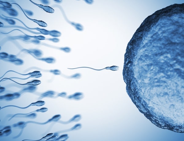 ¿Cuándo está indicada?