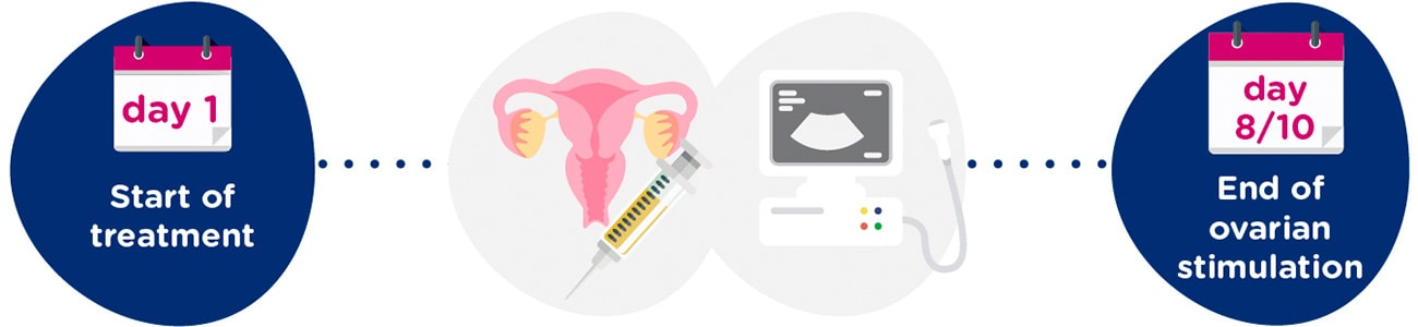 Ovarian stimulation + gynaecological tests