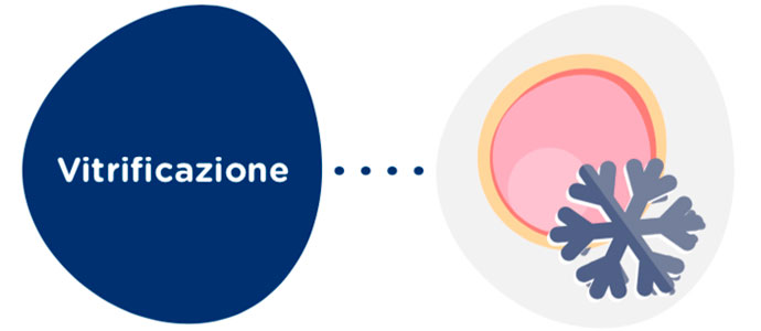 Vitrificazione degli ovociti