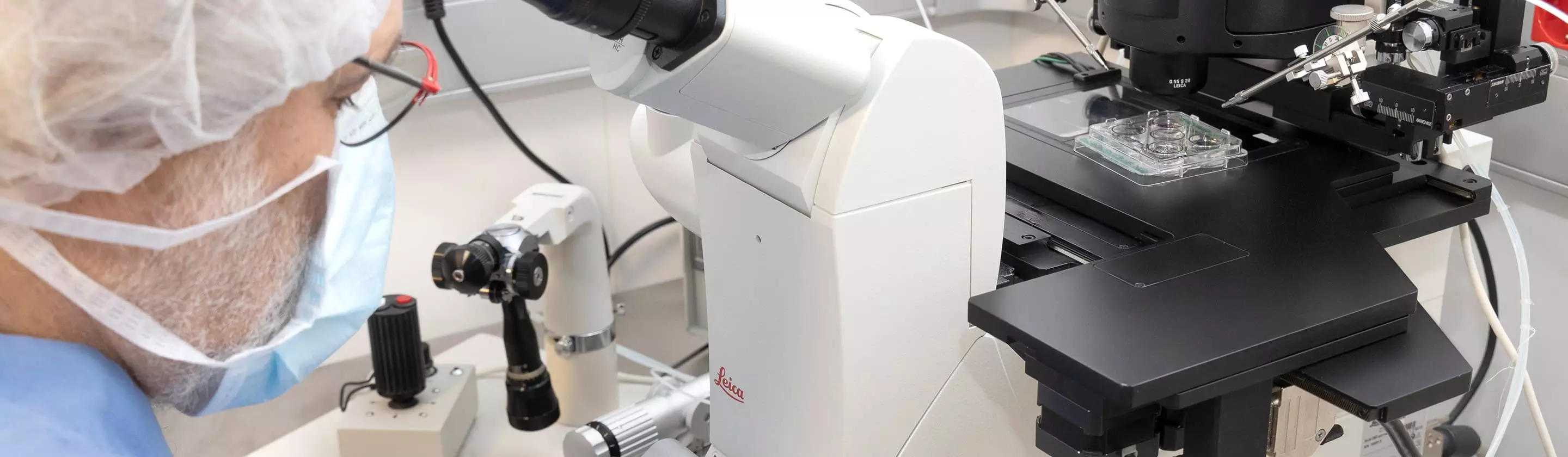 Avortaments de repetició i fallades d'implantació
