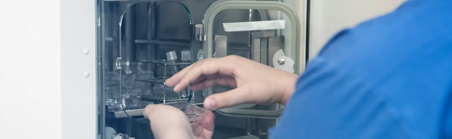 Blastocyst transfer and freezing