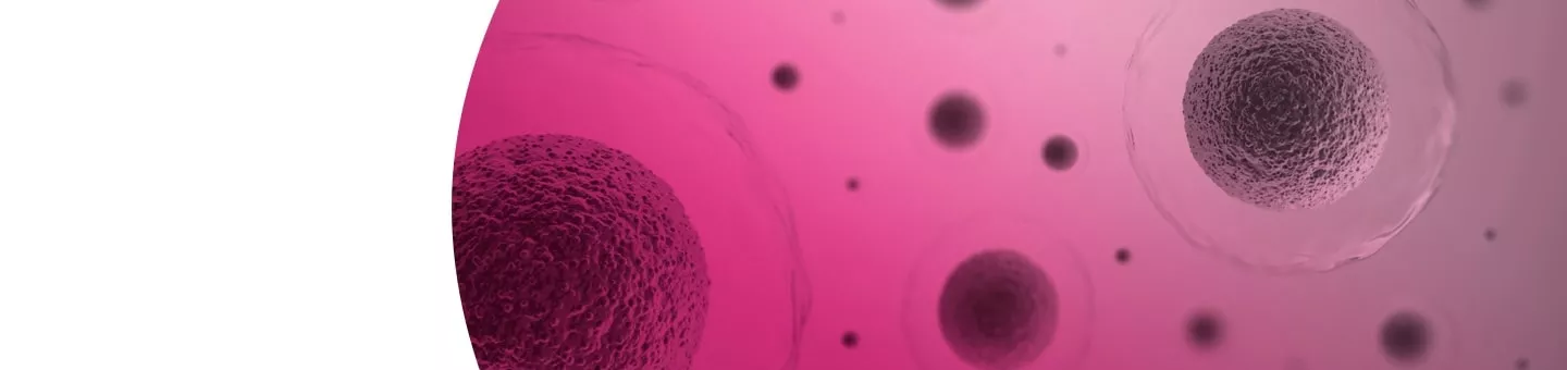 iDAScore: Embryoselektion mit KI