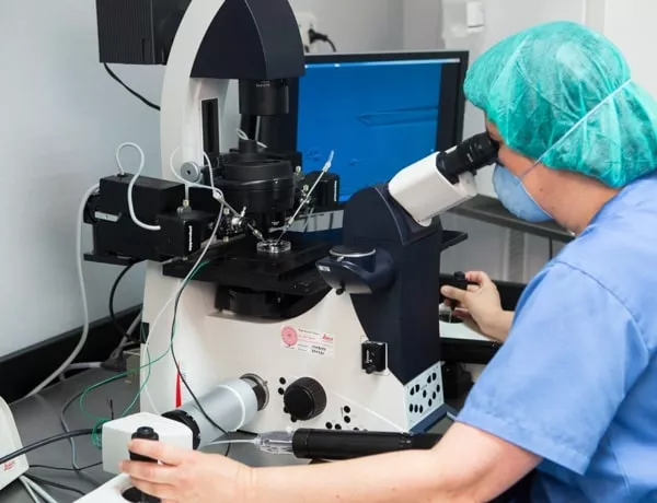 What is blastocyst culture?