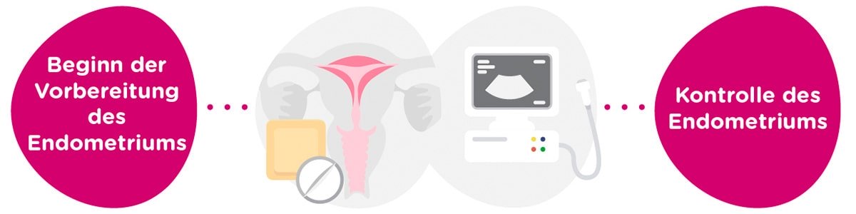 Vorbereitung des Endometriums + gynäkologische Untersuchungen