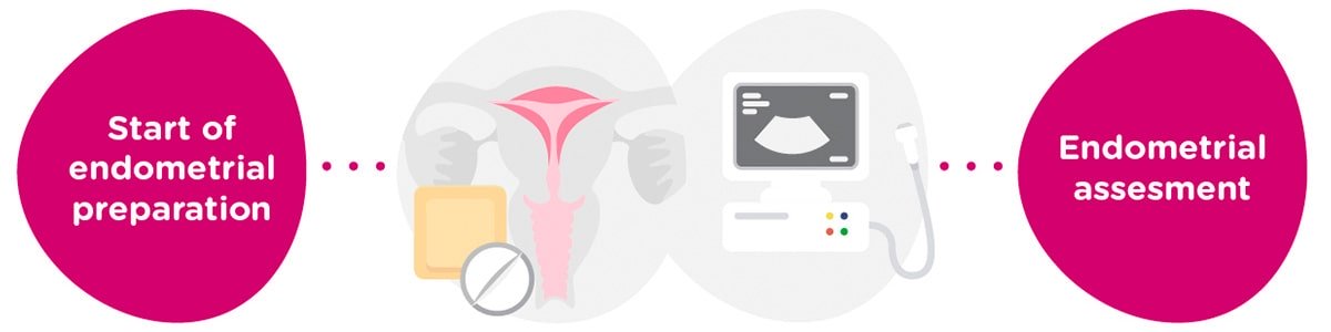 Endometrial preparation + gynaecological tests