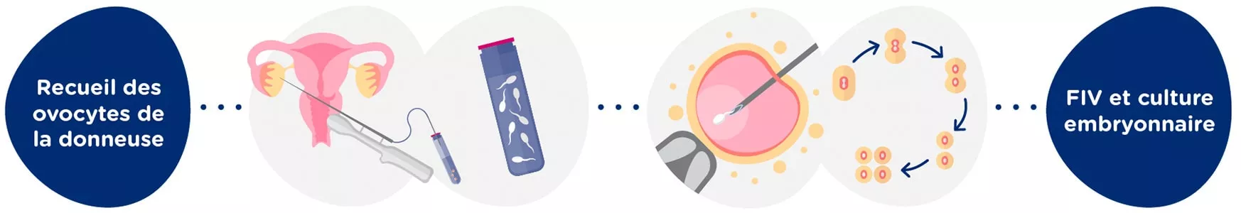 Recueil des ovocytes de la donneuse + échantillon de sperme<br>Fecondation <i>in Vitro</i> + embryons en culture pendant 5 jours