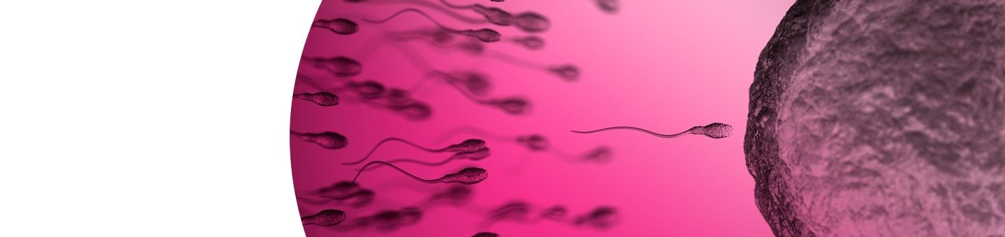Check-up di base dell’infertilità Spagna
