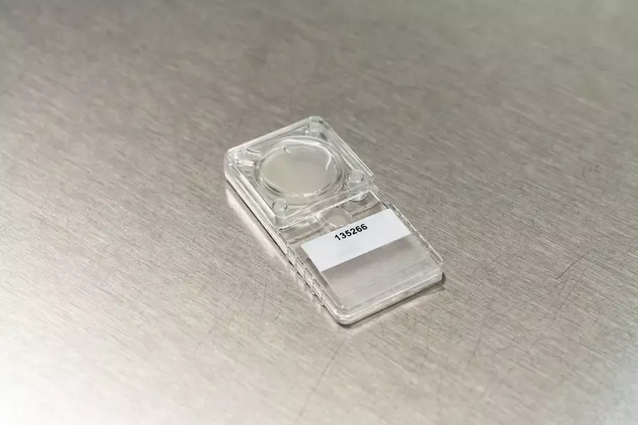 Què és FertileChip? 