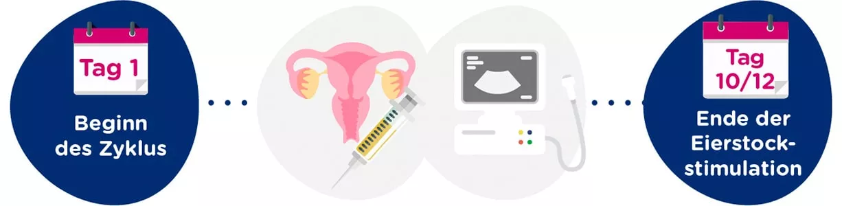 Eierstockstimulation + gynäkologische Untersuchungen