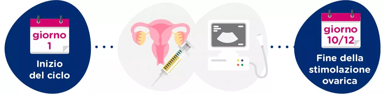 Stimolazione ovarica + controlli ginecologici