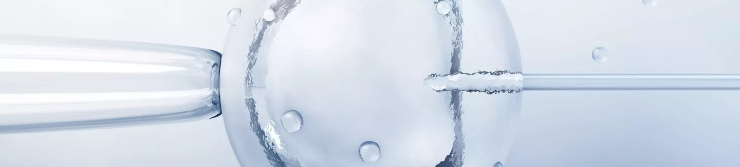 Fecondazione in vitro Spagna