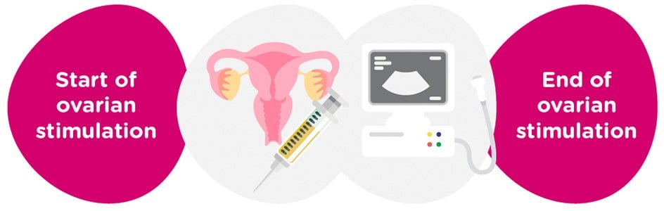 Ovarian stimulation + gynaecological tests