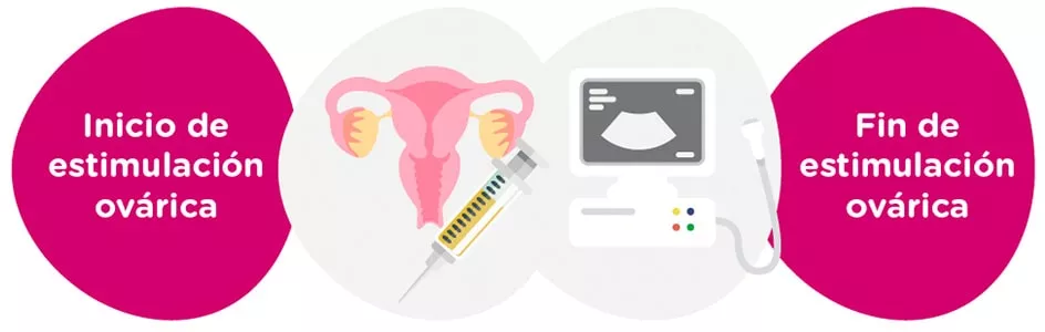 Estimulación ovárica + controles ginecológicos