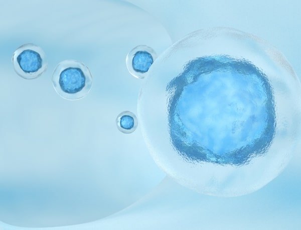 What is Reciprocal IVF?