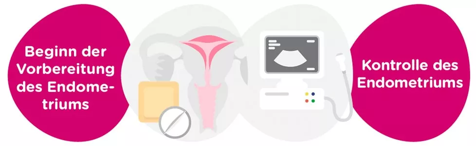 Vorbereitung des Endometriums<br/>+ gynäkologische Untersuchungen