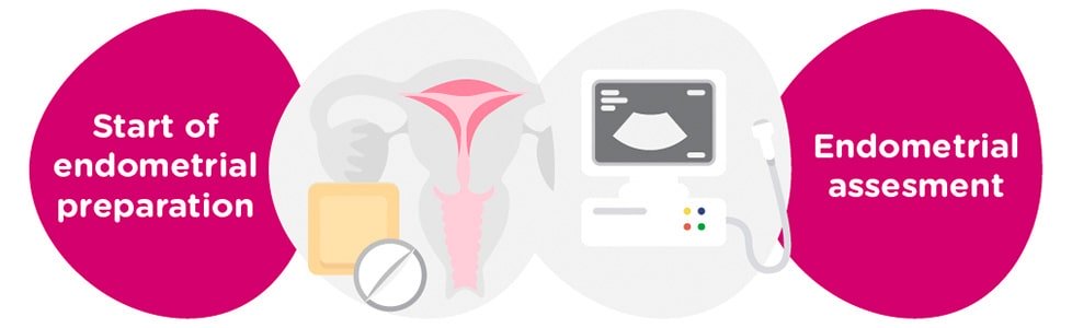 Endometrial preparation + gynaecological tests