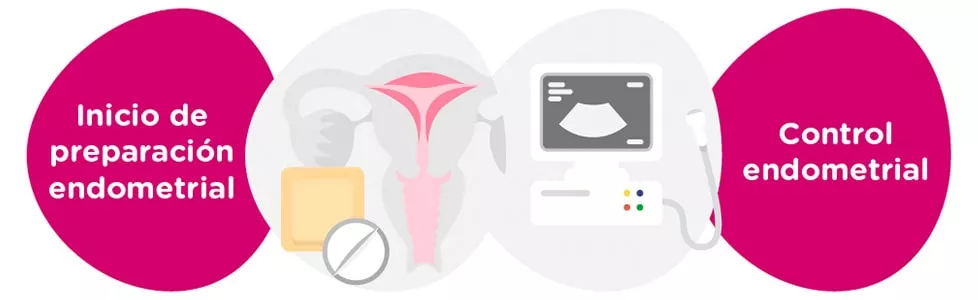 Preparación endometrial + controles ginecológicos