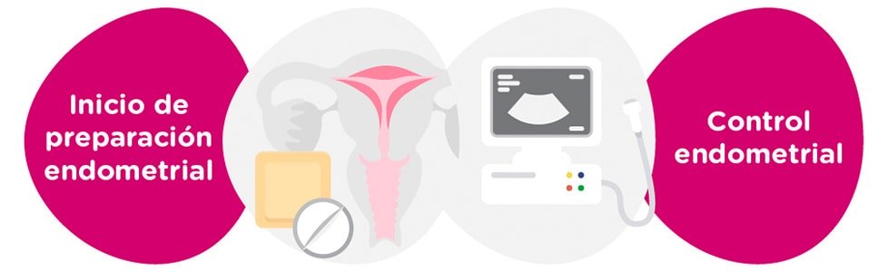 Preparación endometrial + controles ginecológicos
