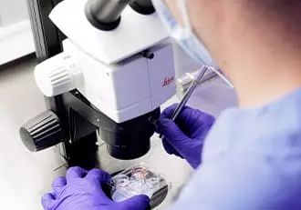 Laboratorio