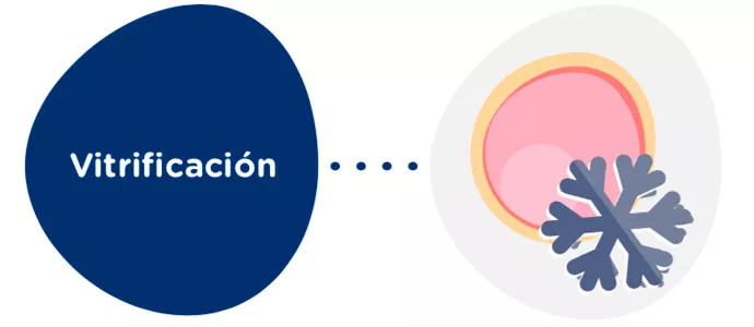 Vitrificación de óvulos