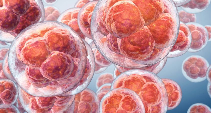 ¿Cuánto tarda en implantarse el óvulo fecundado?