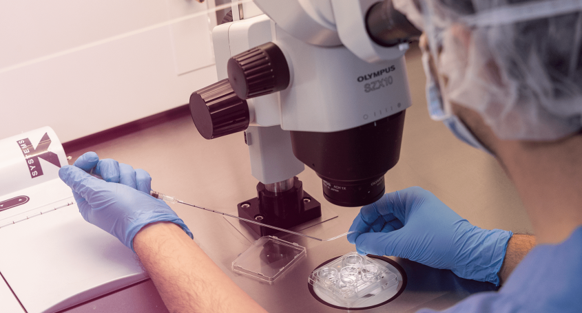 Studio della frammentazione del DNA spermatico