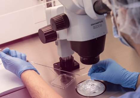 Studio della frammentazione del DNA spermatico