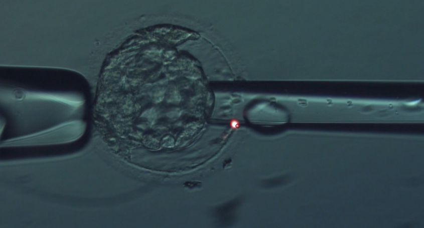 Was ist PGT-A und wie kann es die Erfolgschancen bei der Fertilität verbessern?