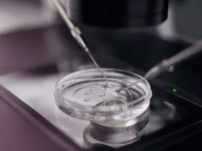 Embryoscope, what is it and what are its advantages?