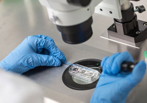 Différences entre la fécondation in vitro et l'insémination artificielle