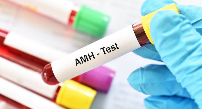 What is the anti-Müllerian hormone and why is it important in pregnancy?
