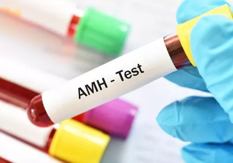 What is the anti-Müllerian hormone and why is it important in pregnancy?