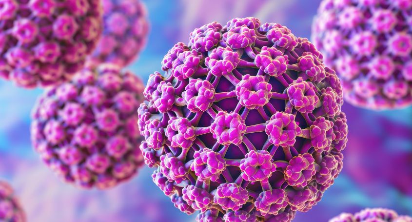 HPV und Fruchtbarkeit: gynäkologische Beratung bei Barcelona IVF
