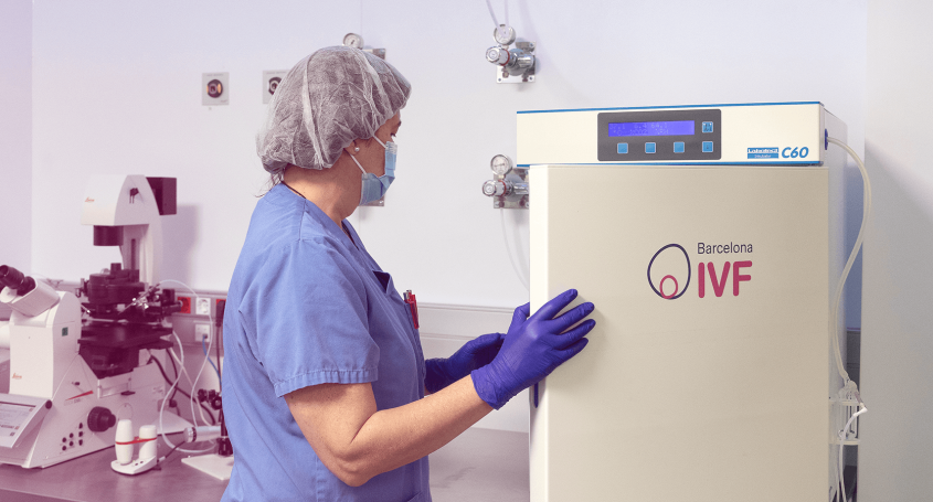 Conosci il processo di vitrificazione passo a passo?