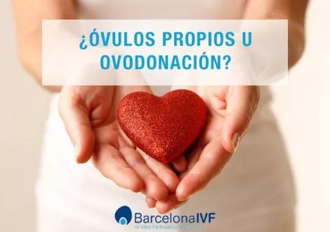 ¿Óvulos propios u ovodonación?