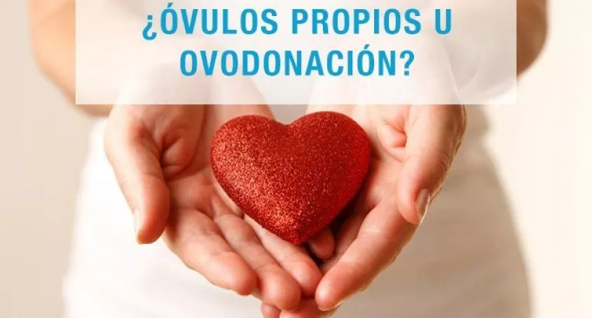 ¿Óvulos propios u ovodonación?