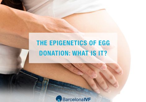 The epigenetics of egg donation: What is it?