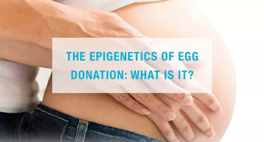 The epigenetics of egg donation: What is it?