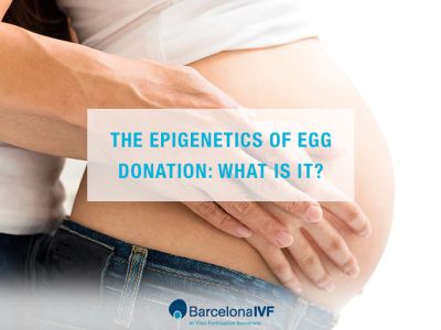 The epigenetics of egg donation: What is it?