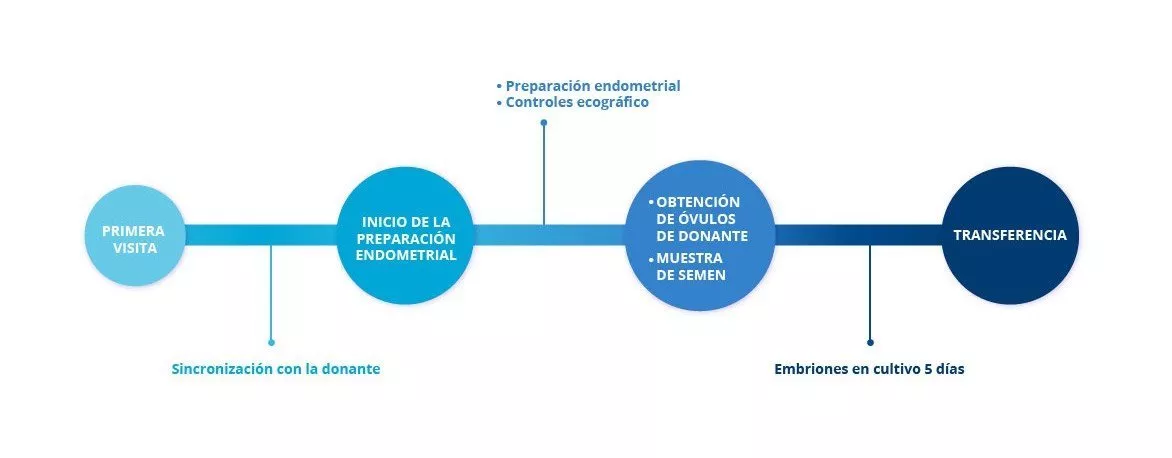 FIV Ovodonación - procedimiento